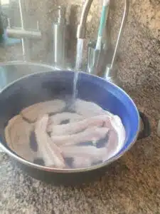 speklap