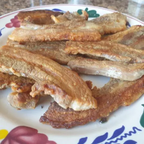 speklap