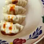Gyoza Japans dumpling
