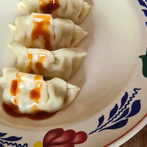 gyoza